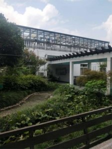 夏阳街道安康养护院
