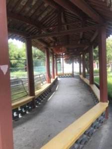 奉城镇头桥敬老院