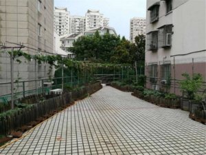 枫林街道敬老院