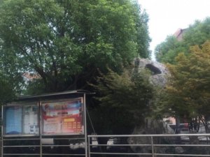 福林颐养院