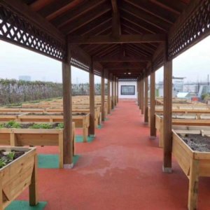 和禾和养老院