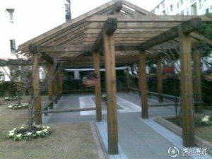 洋泾街道金枫敬老院