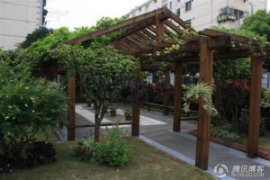 洋泾街道金枫敬老院