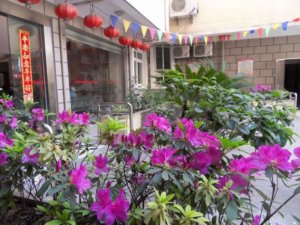 静安郁金香颐养园