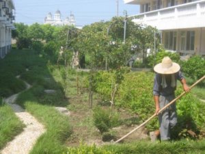 九亭镇敬老院