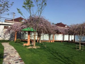 康乐福鑫阳养老院