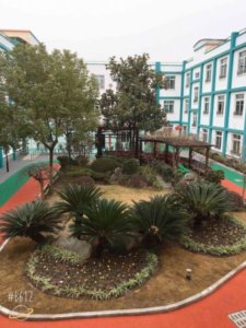 北蔡镇莲溪养护院