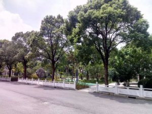 青墩养老院