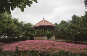 夕阳老年护理院