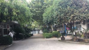 夕阳红养老院