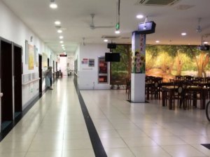 鑫美养老院